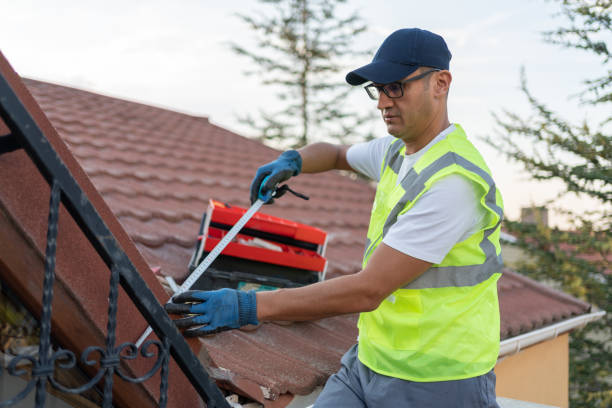 Best Basement Insulation  in Ortonville, MN